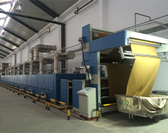 定型機天然氣改造