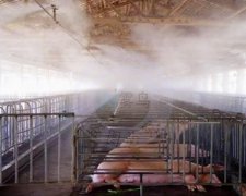 養殖（zhí）場噴霧降溫消毒除臭綜合解（jiě）決方案（àn）