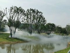 水係綠化地霧森係統安裝（zhuāng）案例